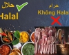 VĂN PHÒNG CHỨNG NHẬN HALAL MEDINA UZK